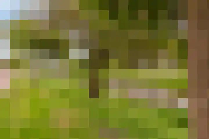 Meerland 66 Purmerend thumbnail 41