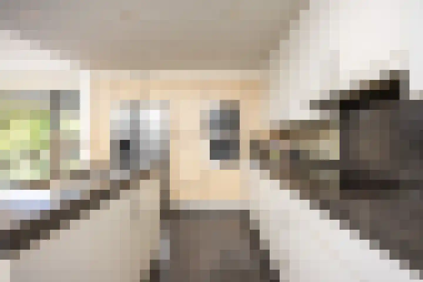 Meerleseweg 16 Chaam thumbnail 10