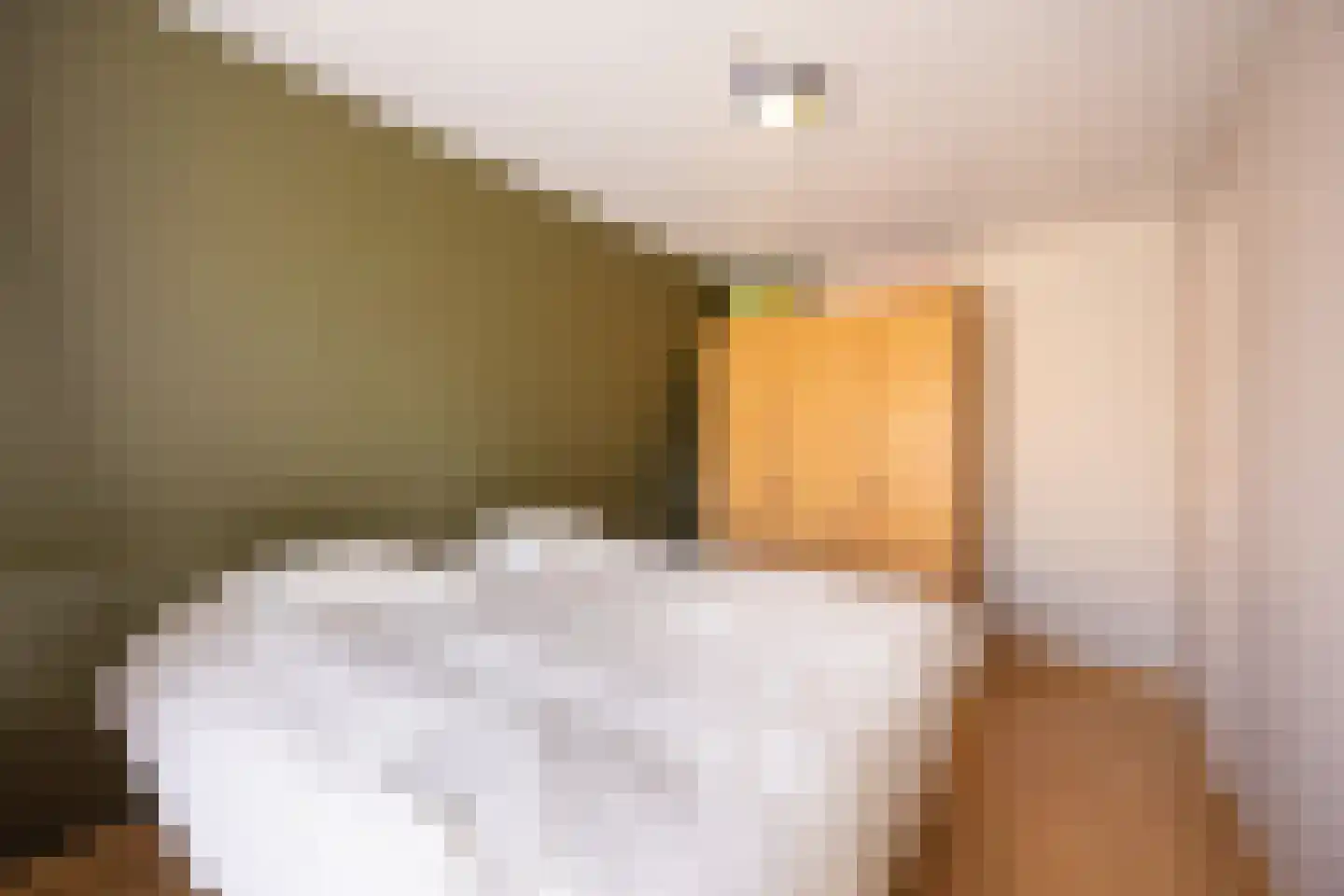 Meerleseweg 16 Chaam thumbnail 21