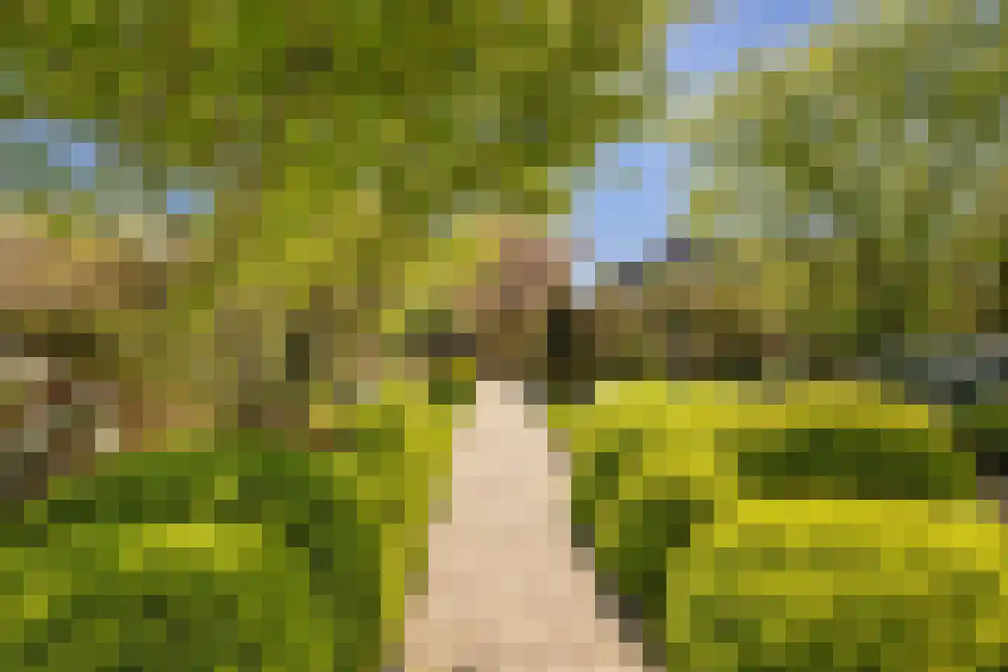 Meerleseweg 16 Chaam thumbnail 26