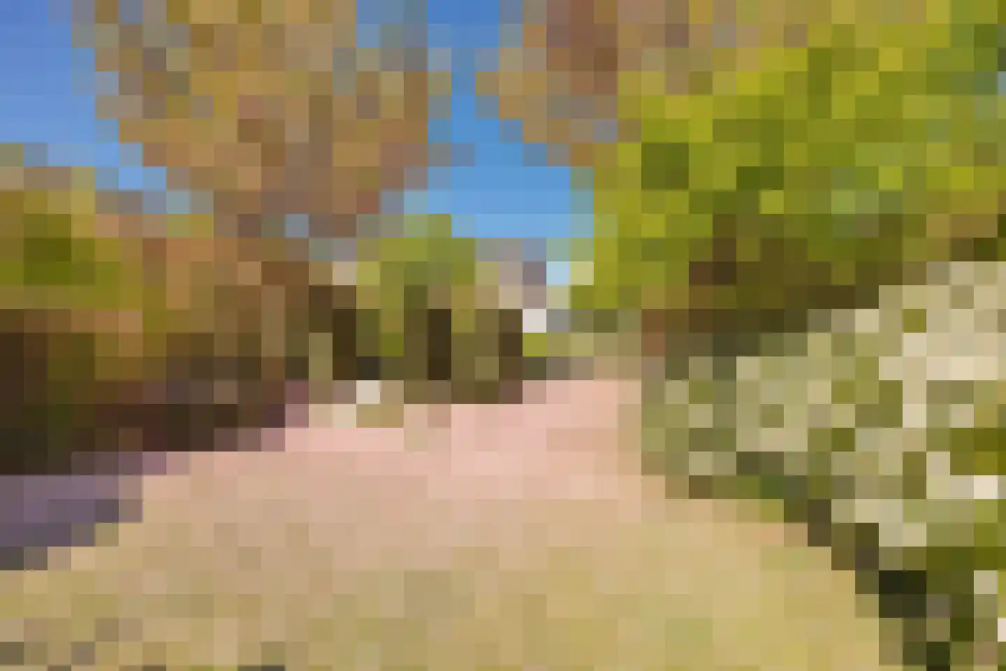 Meerleseweg 16 Chaam thumbnail 27