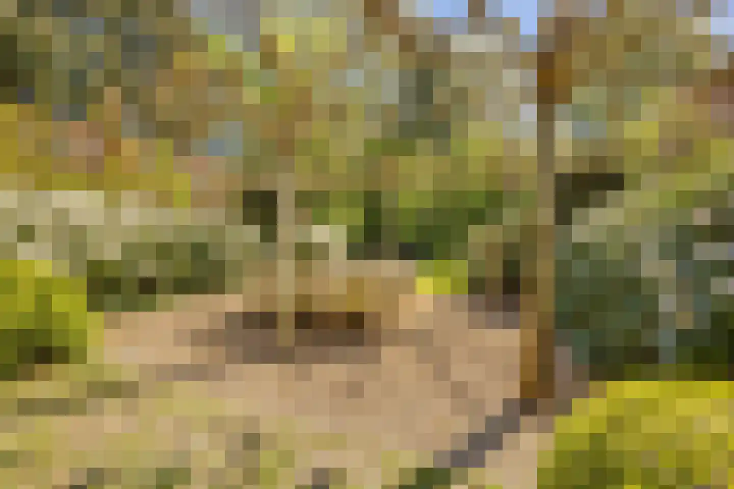 Meerleseweg 16 Chaam thumbnail 28