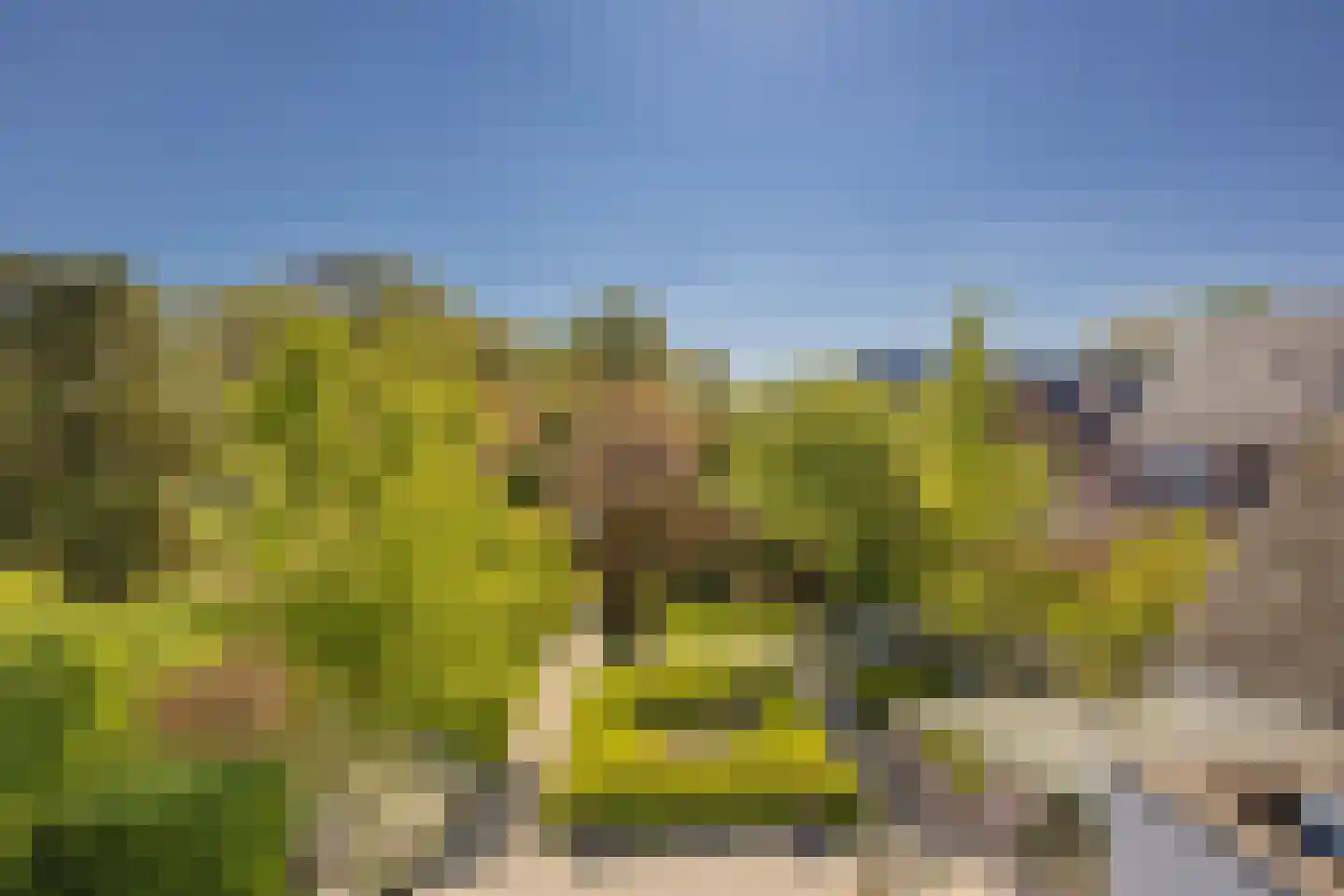 Meerleseweg 16 Chaam thumbnail 29