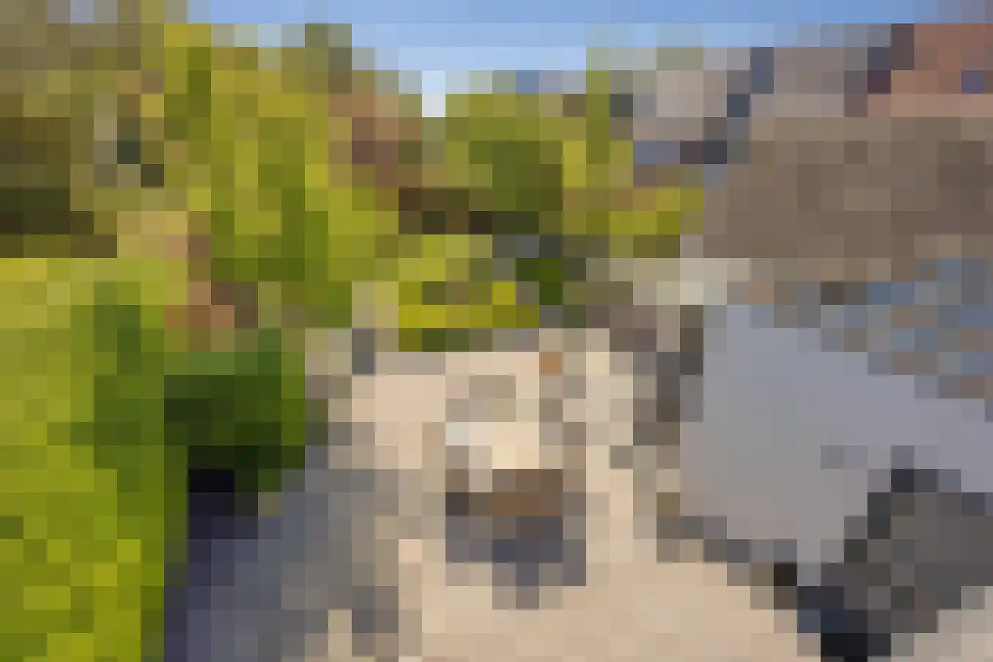 Meerleseweg 16 Chaam thumbnail 31