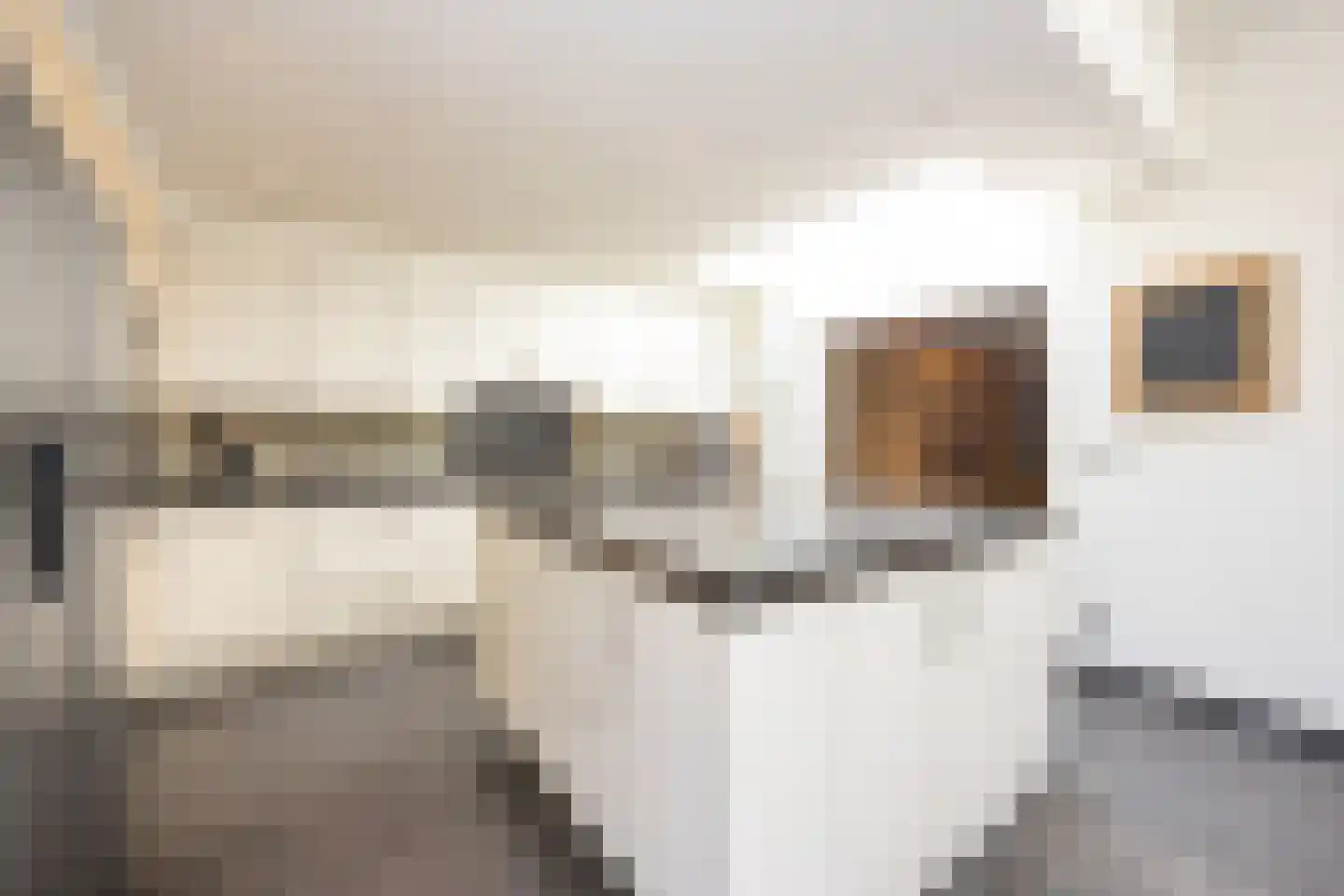 Meerleseweg 16 Chaam thumbnail 8