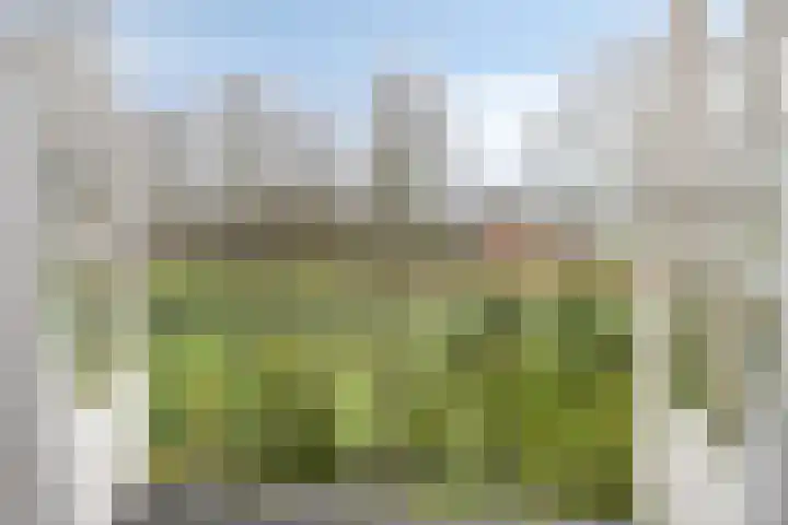 Meerleseweg 19 Chaam thumbnail 38