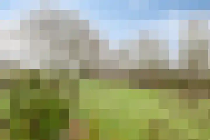 Meerleseweg 19 Chaam thumbnail 39