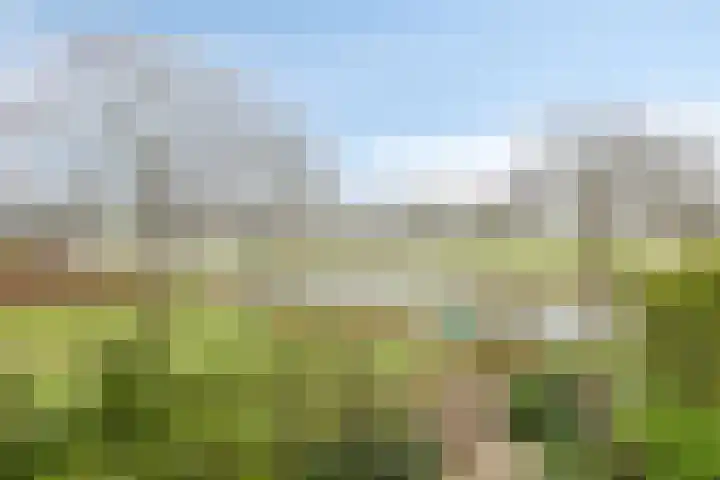 Meerleseweg 19 Chaam thumbnail 40