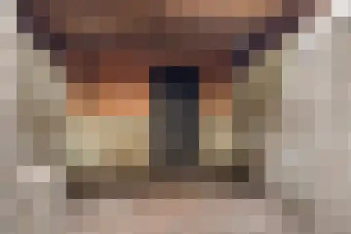 Meerleseweg 19 Chaam thumbnail 52