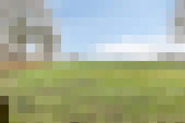 Meerleseweg 19 Chaam thumbnail 54