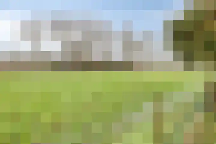 Meerleseweg 19 Chaam thumbnail 55