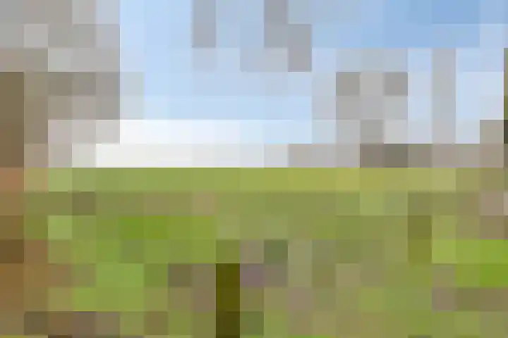 Meerleseweg 19 Chaam thumbnail 56