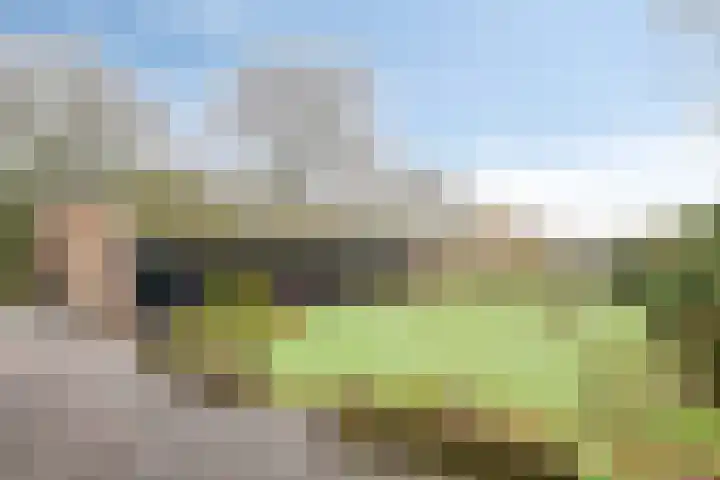 Meerleseweg 19 Chaam thumbnail 57