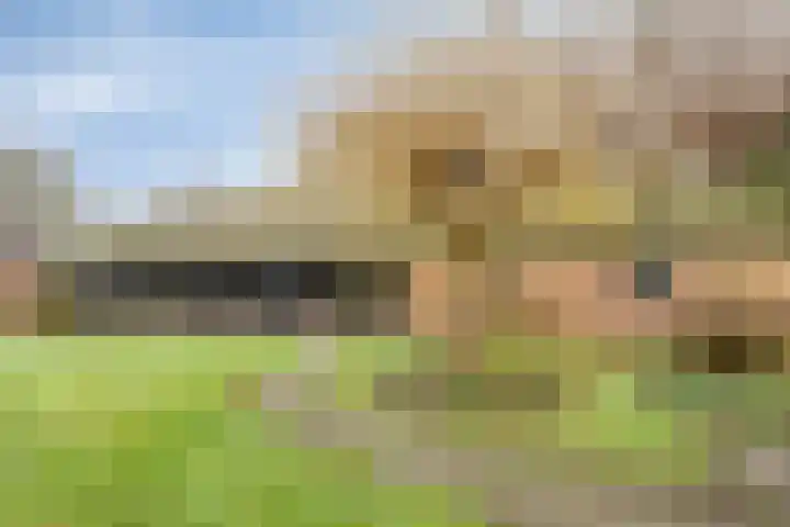 Meerleseweg 19 Chaam thumbnail 58