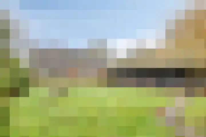 Meerleseweg 19 Chaam thumbnail 59