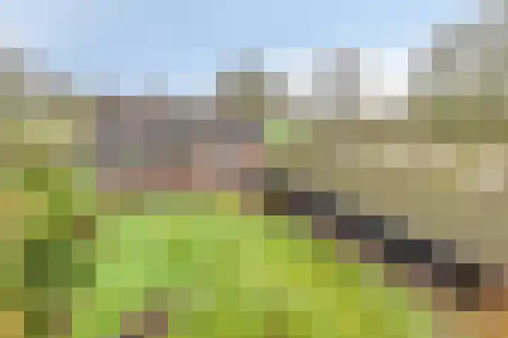 Meerleseweg 19 Chaam thumbnail 60