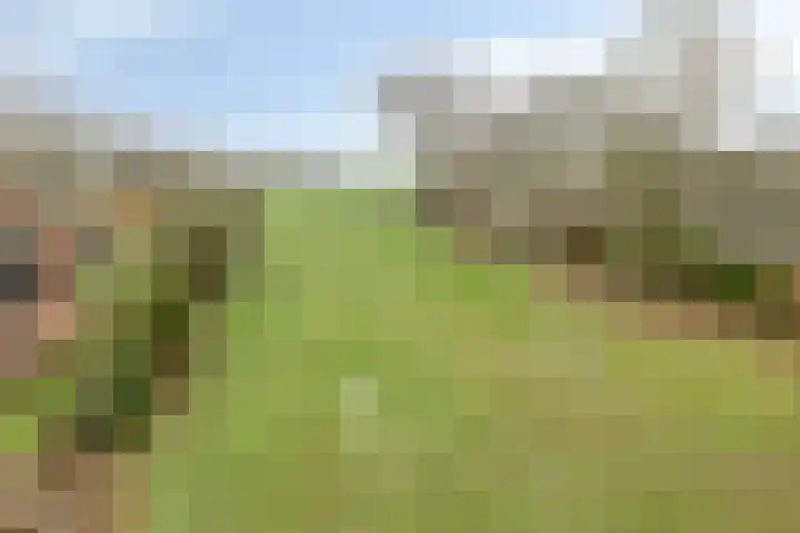 Meerleseweg 19 Chaam thumbnail 61