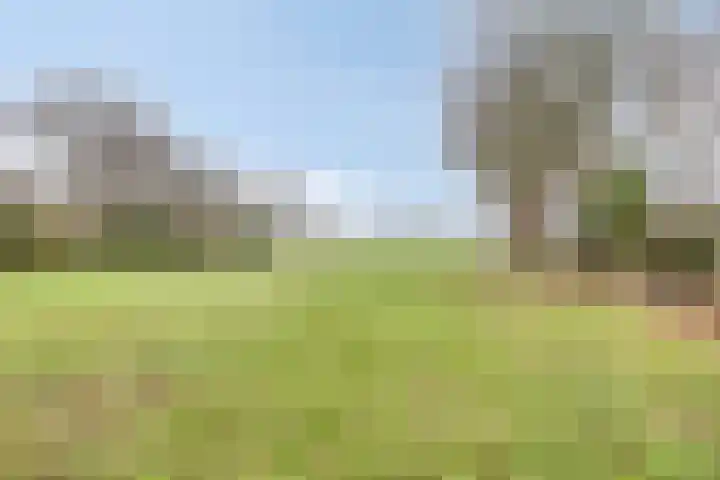 Meerleseweg 19 Chaam thumbnail 62
