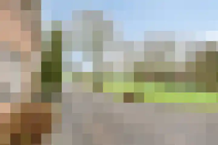 Meerleseweg 19 Chaam thumbnail 63