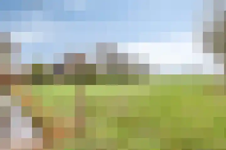 Meerleseweg 19 Chaam thumbnail 65