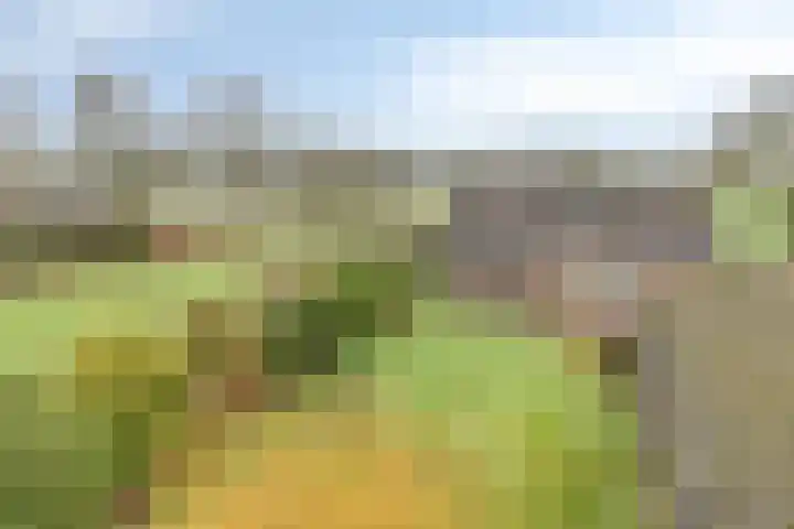 Meerleseweg 19 Chaam thumbnail 66