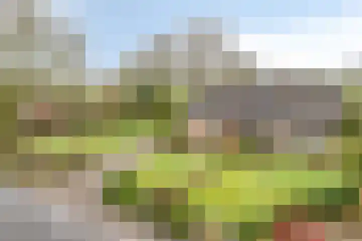Meerleseweg 19 Chaam thumbnail 67