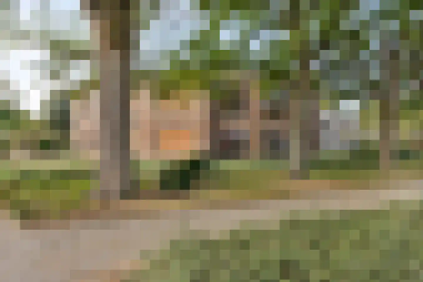 Meerloseweg 12 Uden thumbnail 31