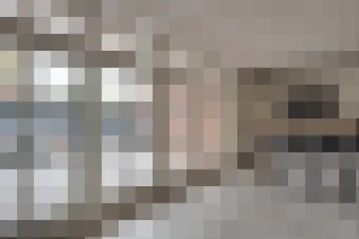 Meerloseweg 14 Uden thumbnail 17