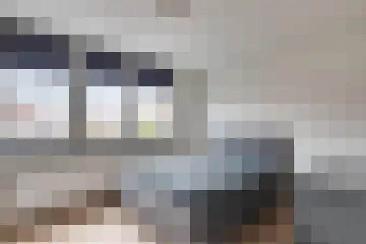 Meerloseweg 14 Uden thumbnail 28