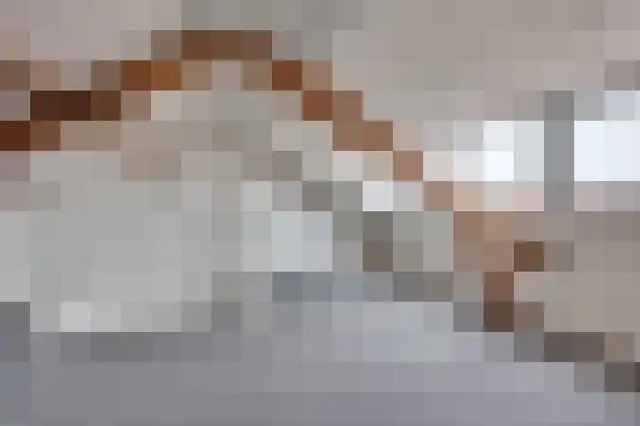 Meerloseweg 14 Uden thumbnail 32