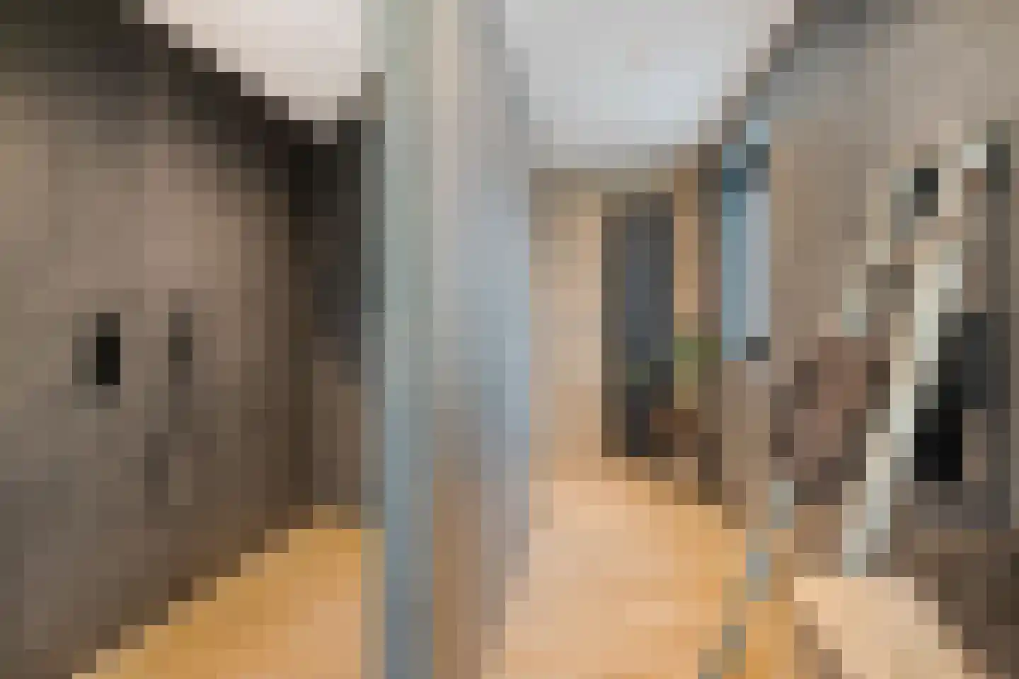 Meerloseweg 2 Uden thumbnail 31