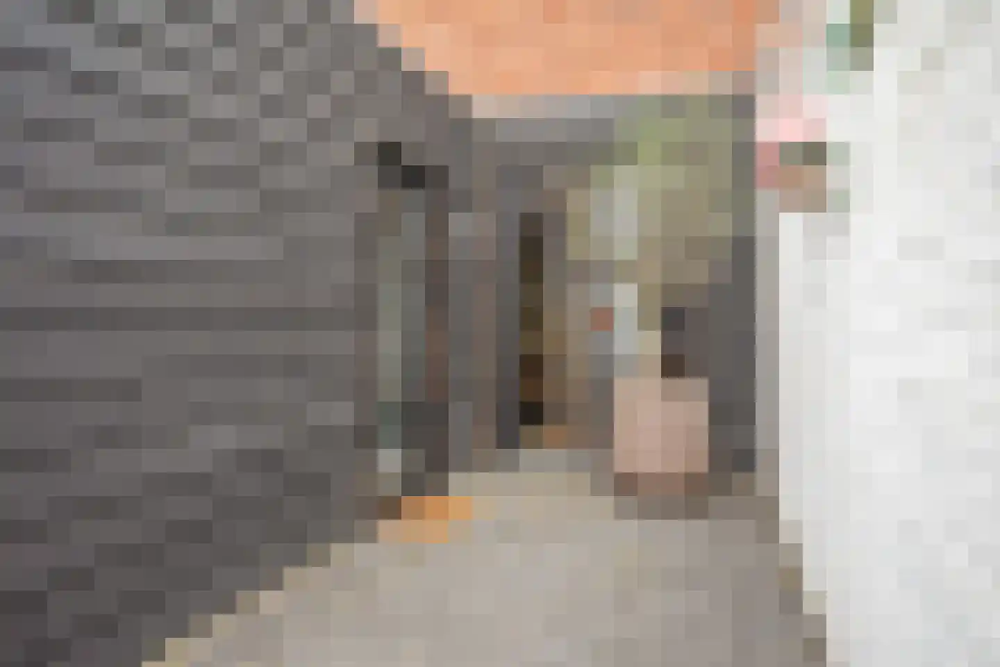 Meerloseweg 2 Uden thumbnail 38