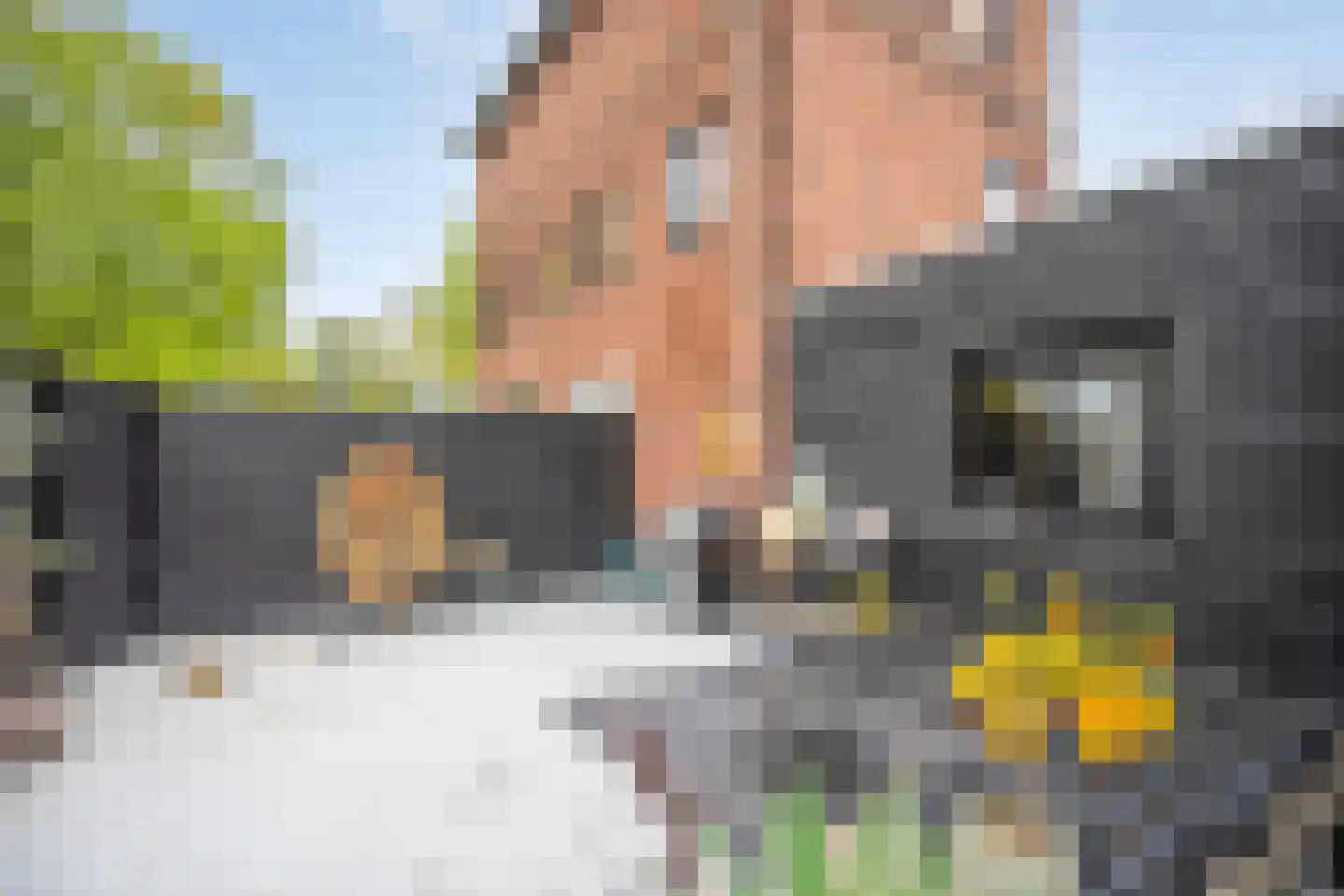 Meerloseweg 2 Uden thumbnail 45