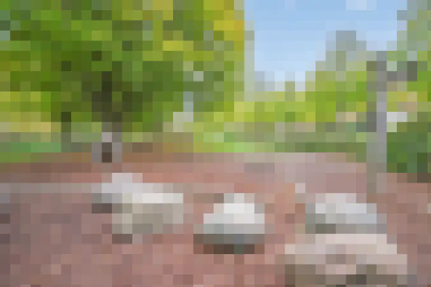 Meerloseweg 2 Uden thumbnail 54