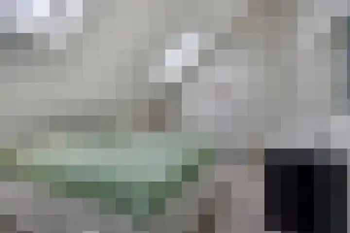 Meerloseweg 25 Wanssum thumbnail 23
