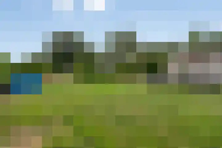 Meerloseweg 25 Wanssum thumbnail 29