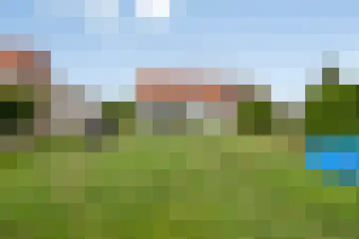 Meerloseweg 25 Wanssum thumbnail 31