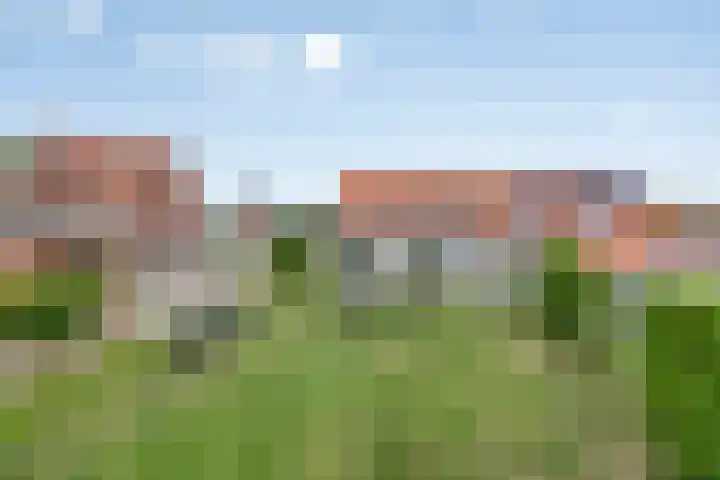 Meerloseweg 25 Wanssum thumbnail 32
