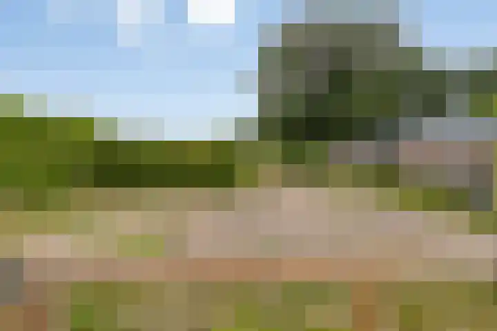Meerloseweg 25 Wanssum thumbnail 34