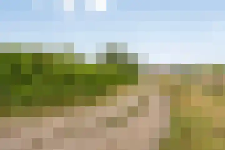 Meerloseweg 25 Wanssum thumbnail 35