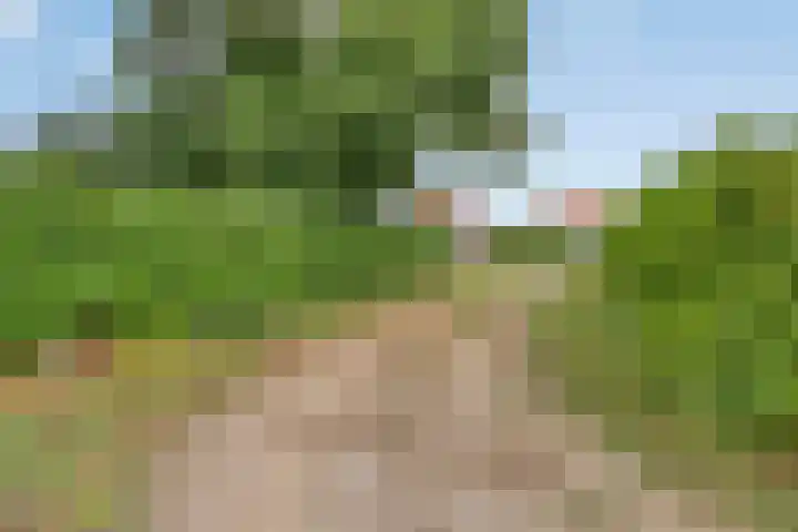 Meerloseweg 25 Wanssum thumbnail 36