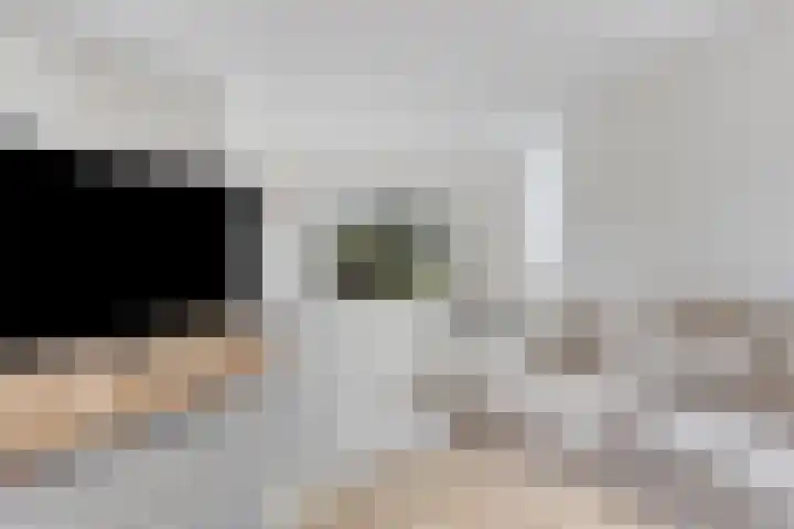 Meerloseweg 25 Wanssum thumbnail 6