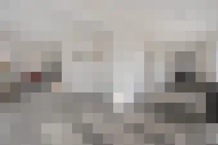 Meerloseweg 25 Wanssum thumbnail 7