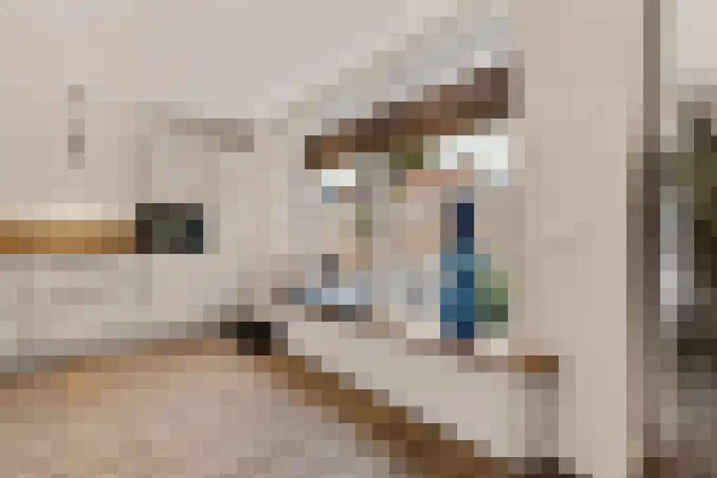 Meerloseweg 26 Uden thumbnail 13