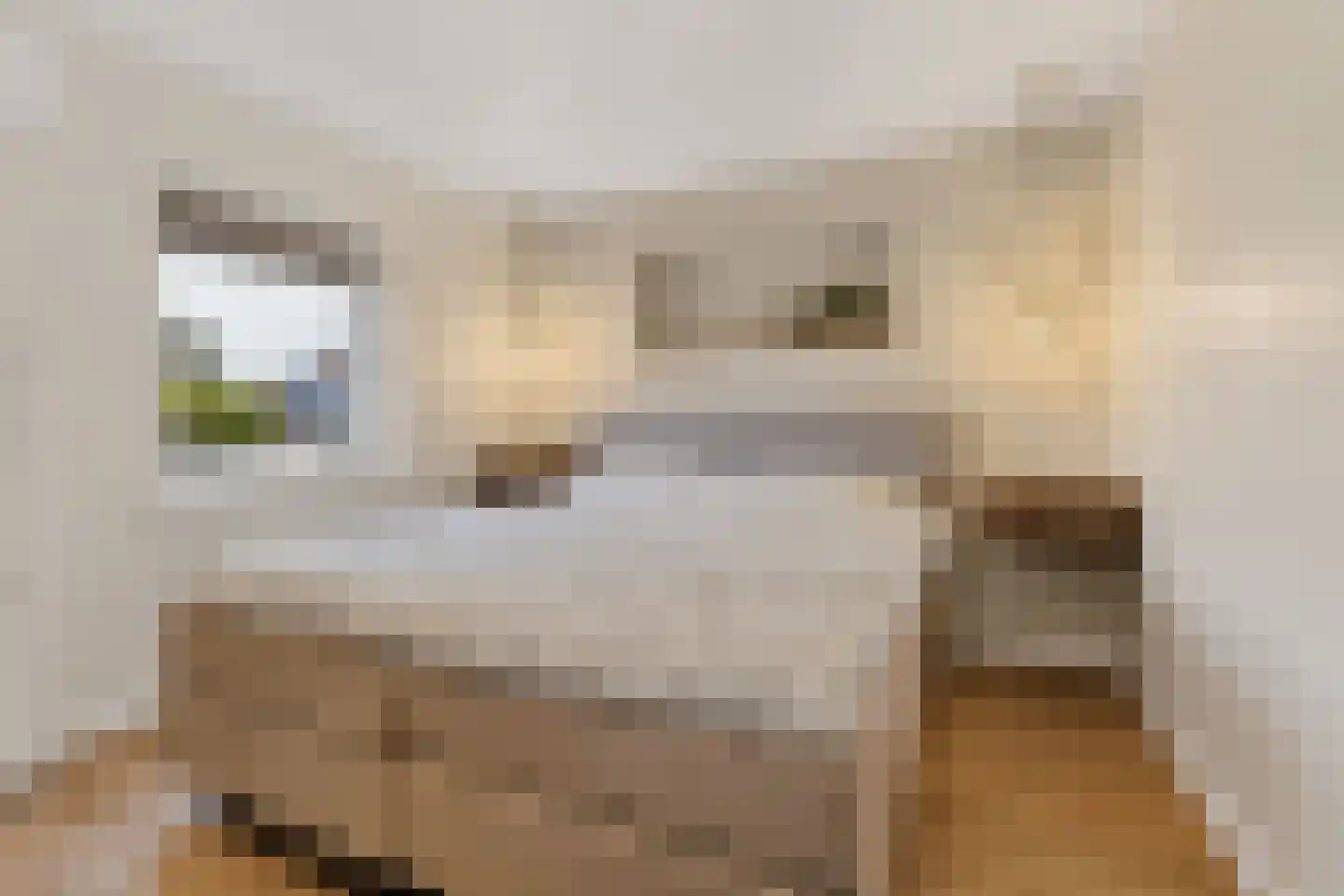 Meerloseweg 26 Uden thumbnail 21