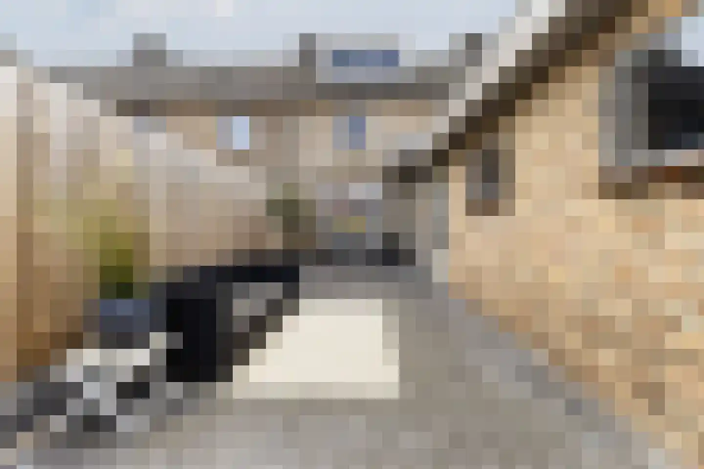 Meerloseweg 26 Uden thumbnail 39