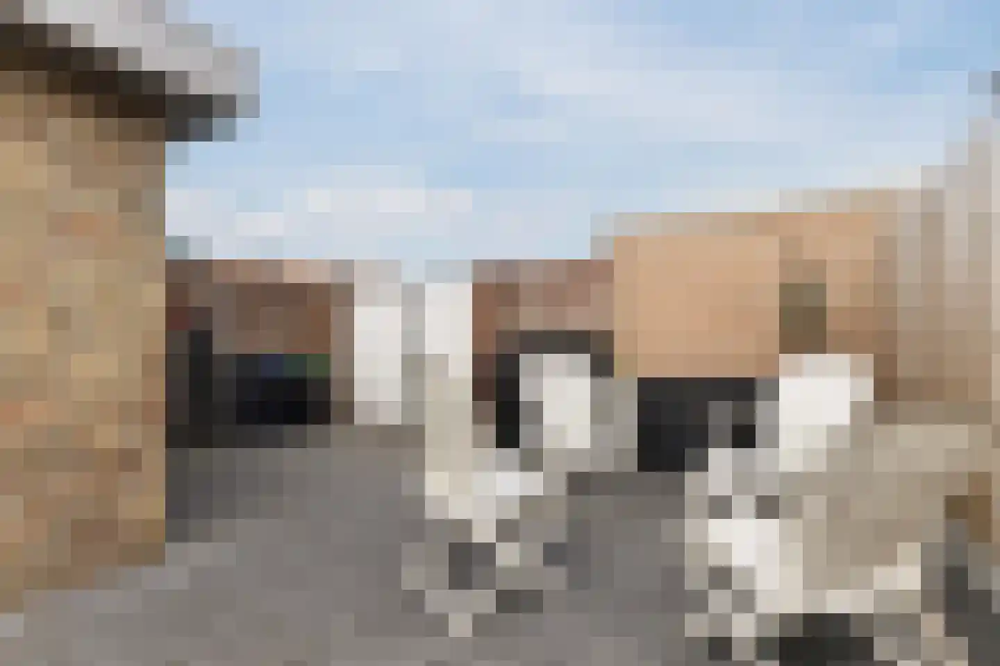 Meerloseweg 26 Uden thumbnail 40