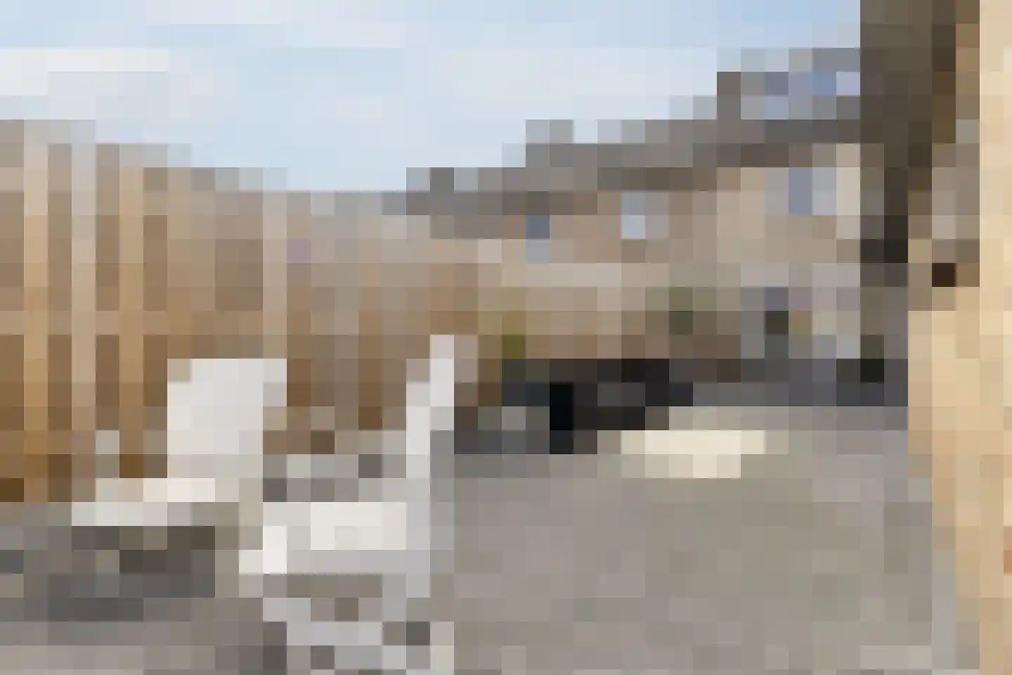 Meerloseweg 26 Uden thumbnail 41