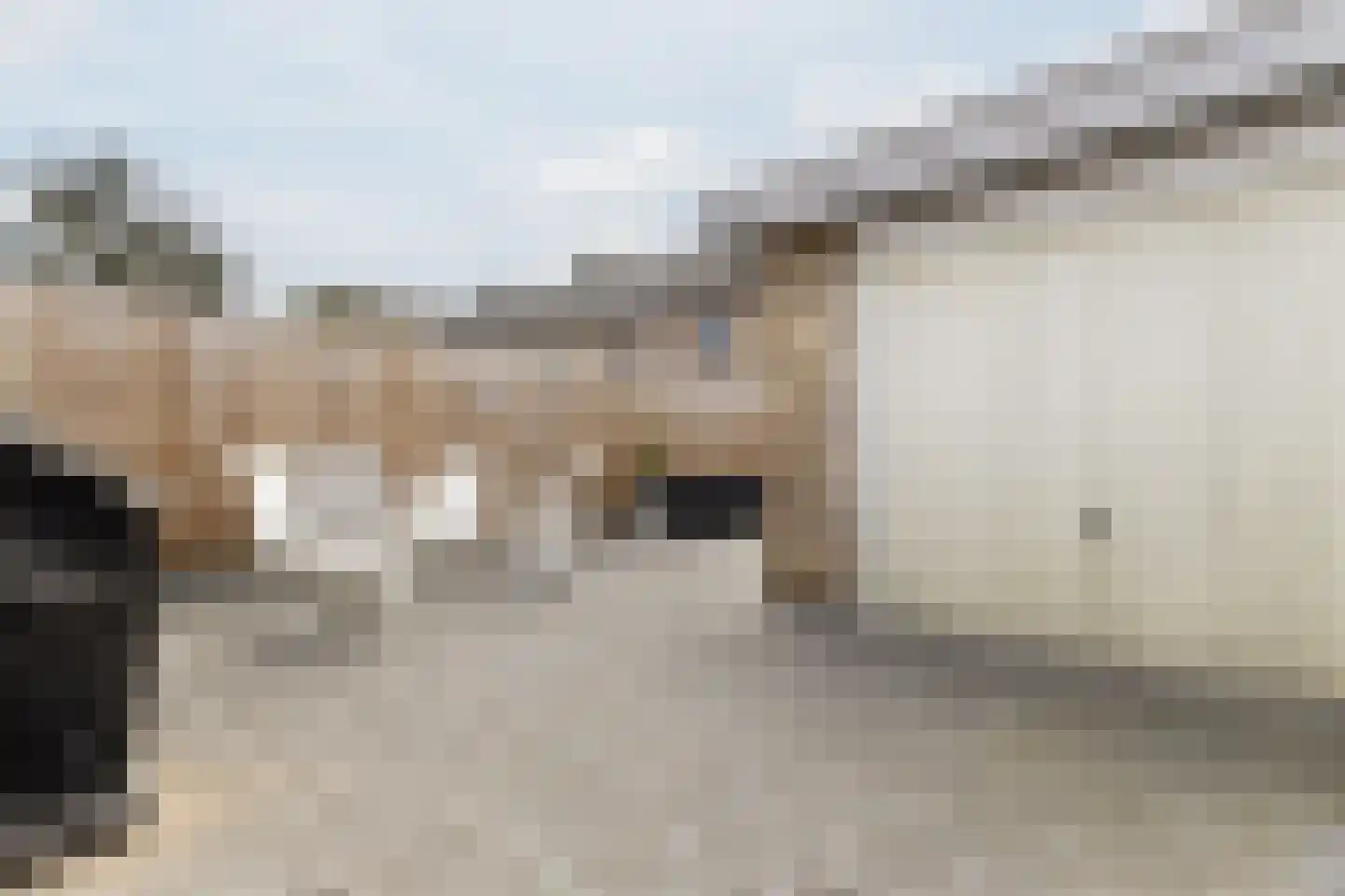 Meerloseweg 26 Uden thumbnail 42