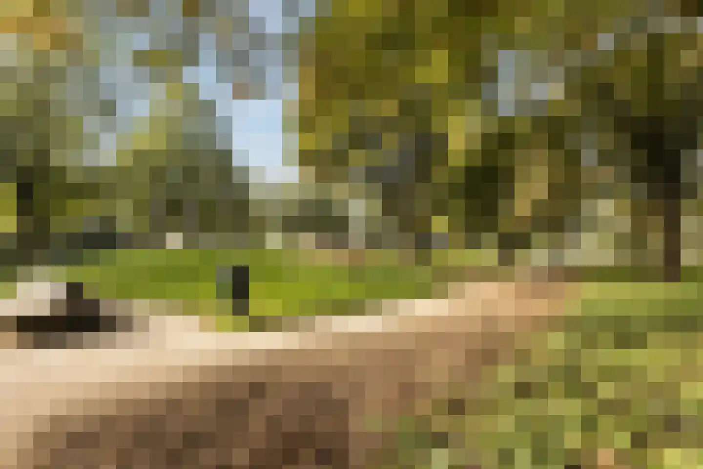 Meerloseweg 26 Uden thumbnail 45